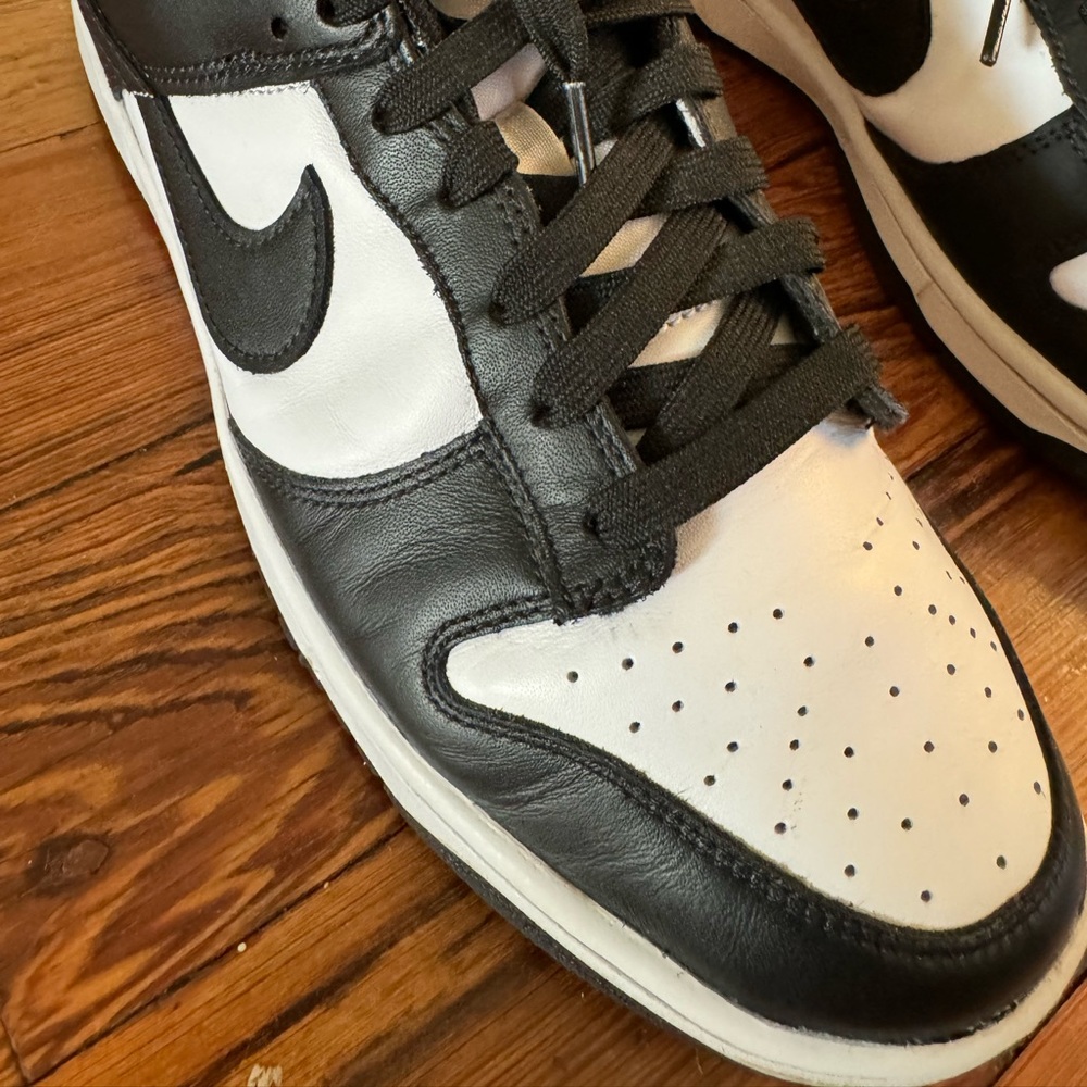 NIKE Dunk Pro Retro (Size 11)